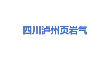 四川泸州页岩气勘探开发有限责任公司