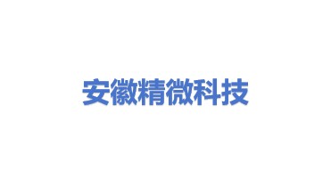 安徽精微科技有限公司
