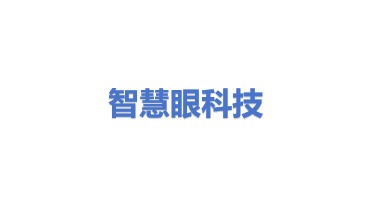 智慧眼科技股份有限公司