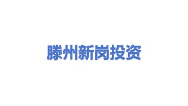 滕州市新岗投资有限公司